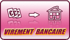 virement-bancaire